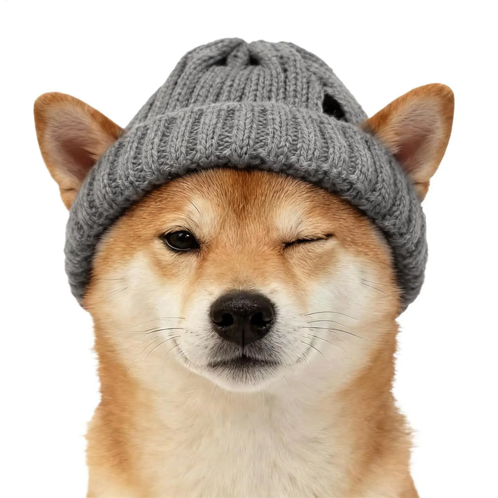 Tommy warm Pet Hat