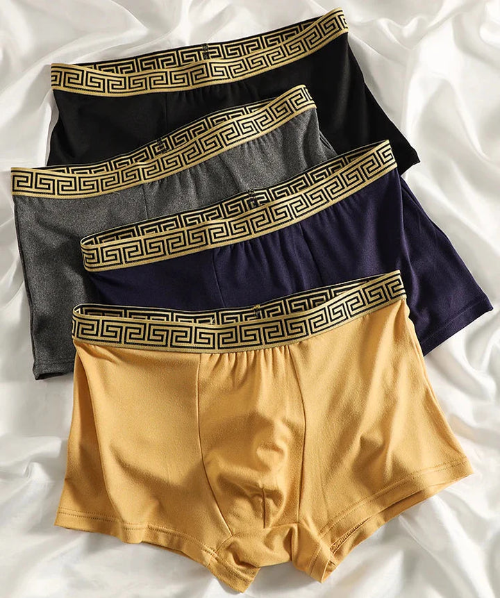 Victor men's boxers