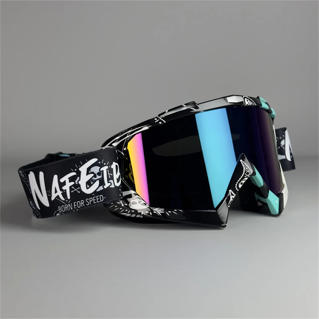 Delmaro Alpine Goggles