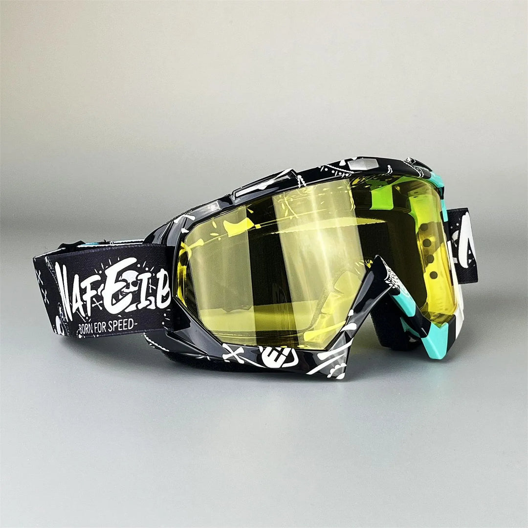 Delmaro Alpine Goggles