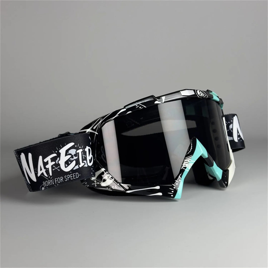 Delmaro Alpine Goggles