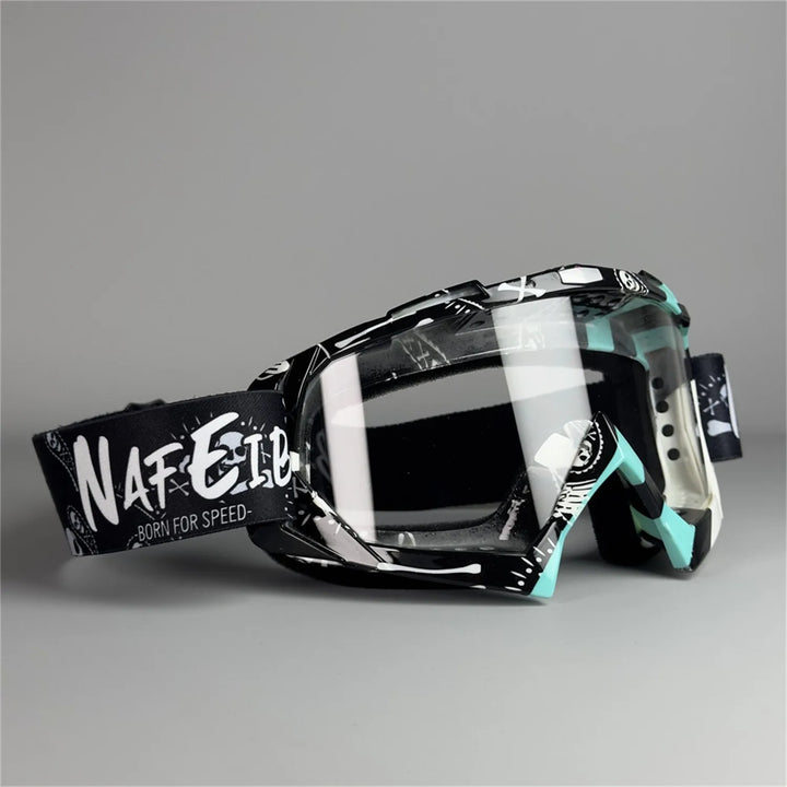 Delmaro Alpine Goggles