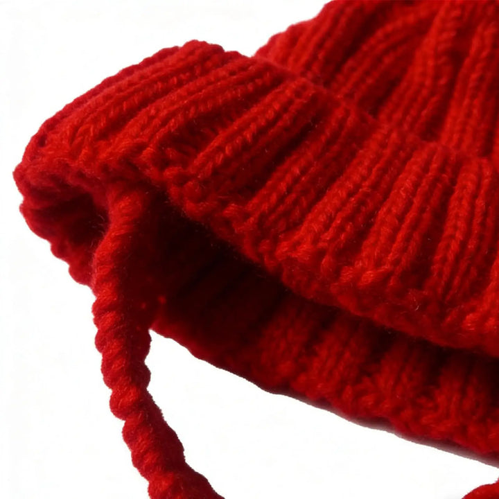 Tommy warm Pet Hat