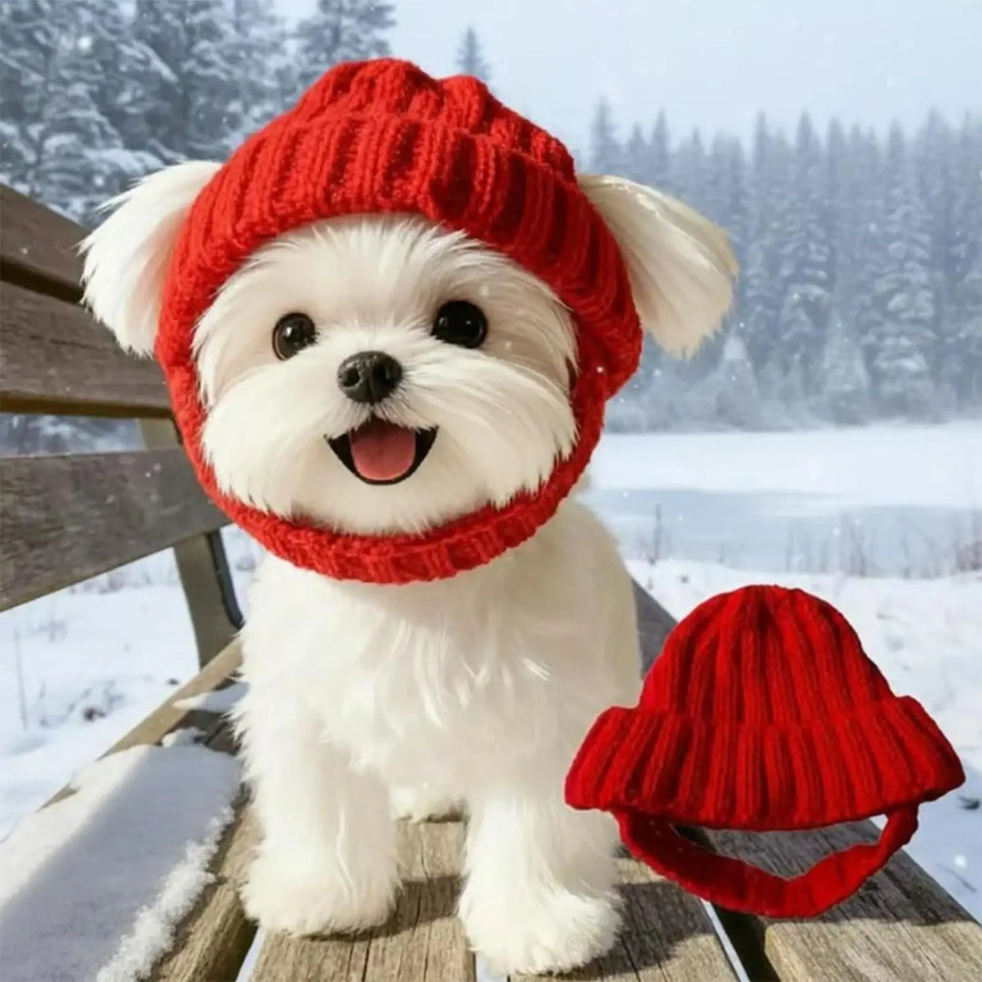 Tommy warm Pet Hat