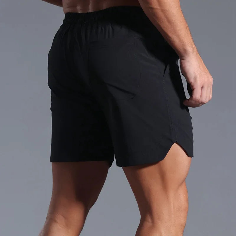 Hampton Bay Shorts