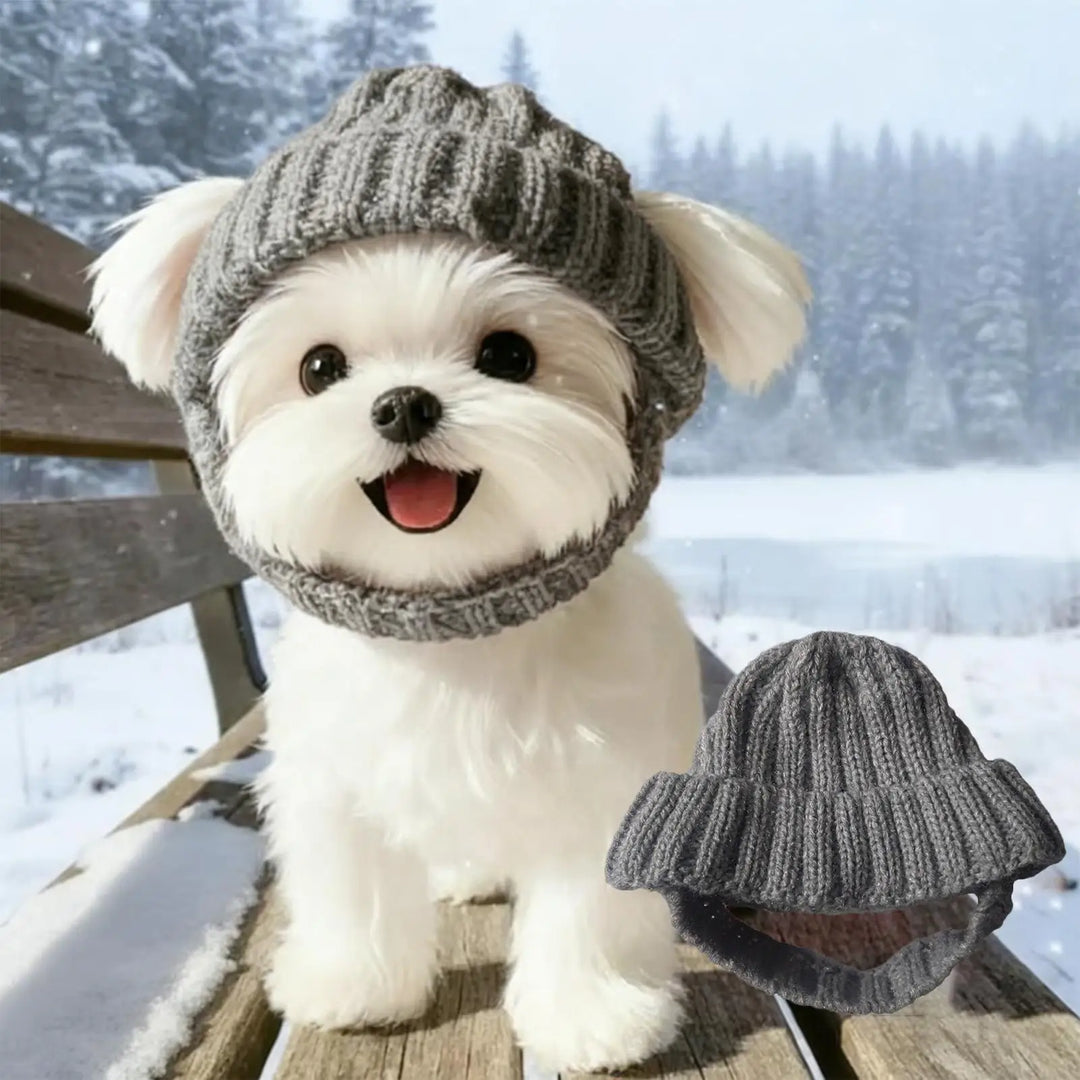 Tommy warm Pet Hat