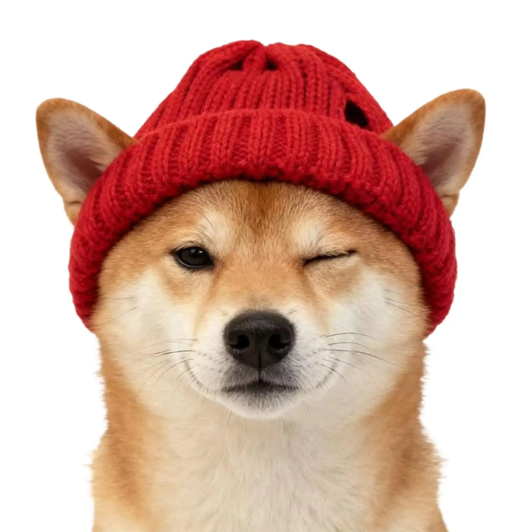 Tommy warm Pet Hat