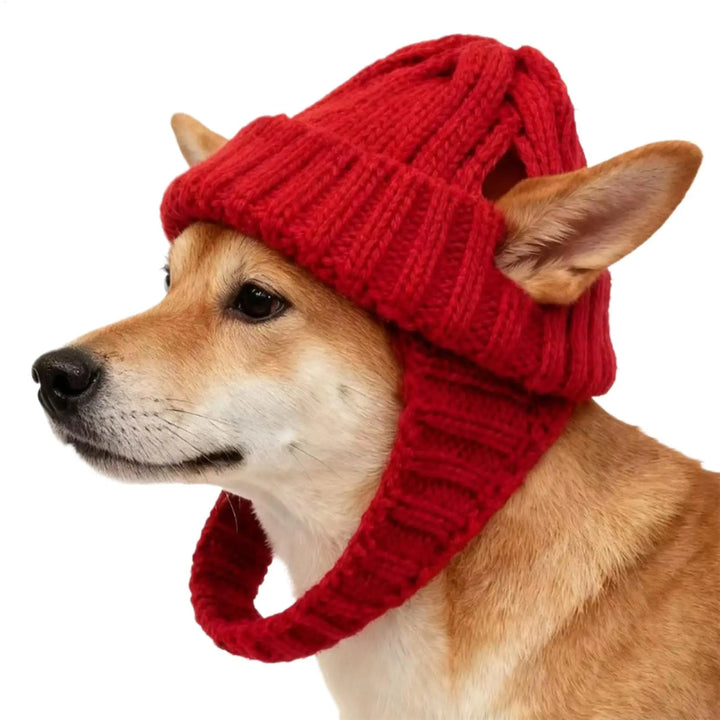 Tommy warm Pet Hat