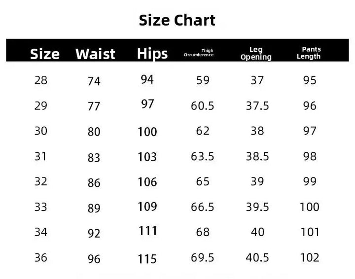 Valentino Italian Formal Pants